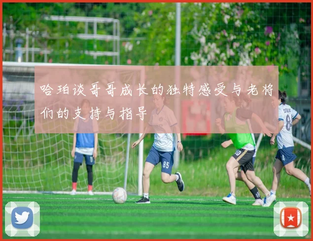 哈珀谈哥哥成长的独特感受与老将们的支持与指导