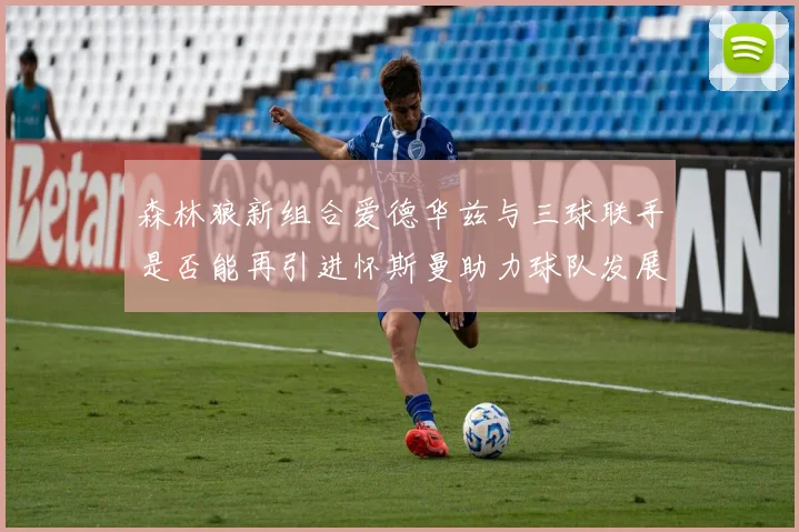森林狼新组合爱德华兹与三球联手是否能再引进怀斯曼助力球队发展