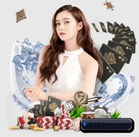 公司成立